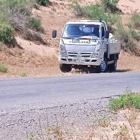 Forland H3 2012