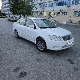 Toyota Corolla 2005
