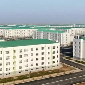 Гуртли, Цоколь, 150м²