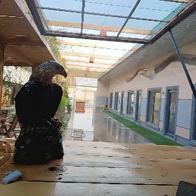 Bürgüt kafe