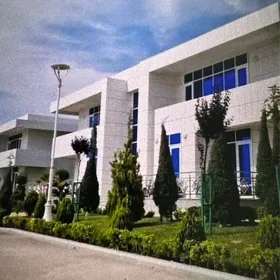 Rowaç kotej