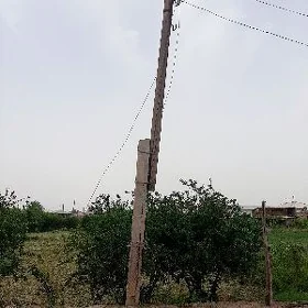 tok stolba