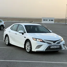 Toyota Camry 2020
