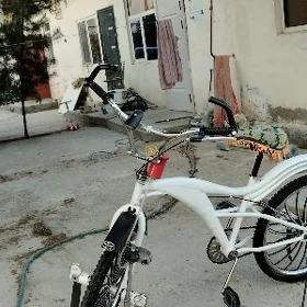 tigir 4 duga