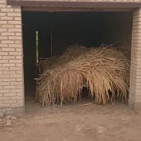 yorunja