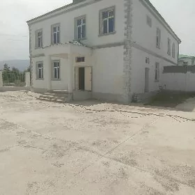 Безмеин Buzmeyin Satlyk Kotez