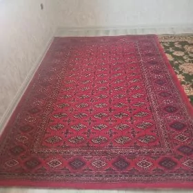 Halylar