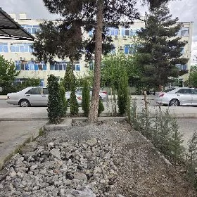 10njy mkr eksperimentalny dom