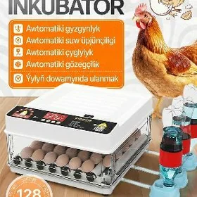 Inkubator Towuk Jüýje Bedene