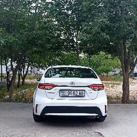 Toyota Corolla 2020