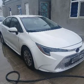 Toyota Corolla 2021