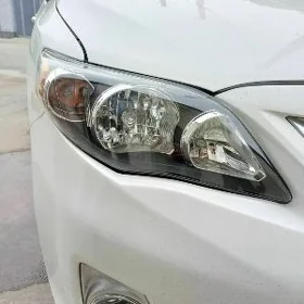 corolla fara