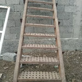 basganjak lesniça merdiwan