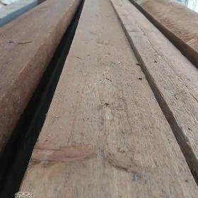strepile