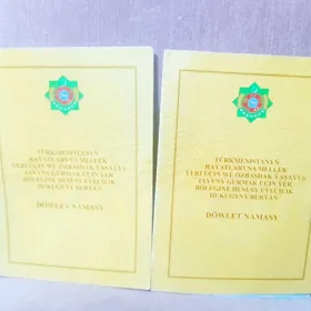 Сатлян жай 24 сотак.