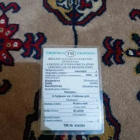 teh pasport
