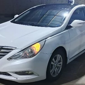Hyundai Sonata 2010