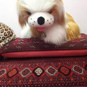 Gujik