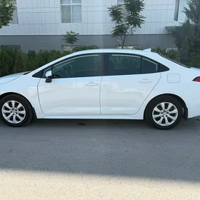 Toyota Corolla 2024