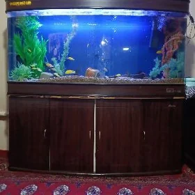 Akwarium Аквариум