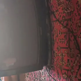şywaky telewizir