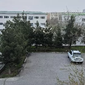 Eýesinden Gaudan W Arkaçka 3+1