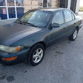 Toyota Corolla 1995