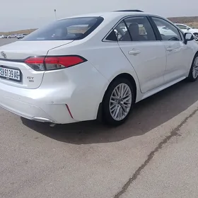Toyota Corolla 2022