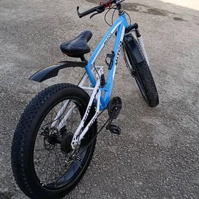 sportiwny welik