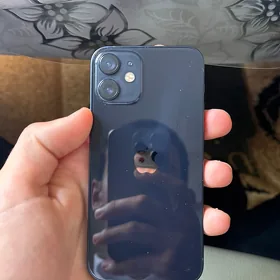 12 mini