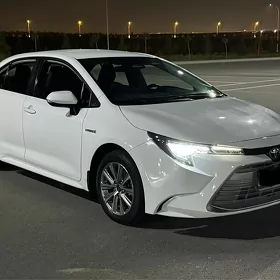 Toyota Corolla 2023