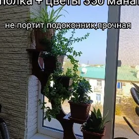 Полка для цветов
