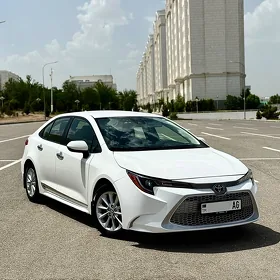 Toyota Corolla 2021