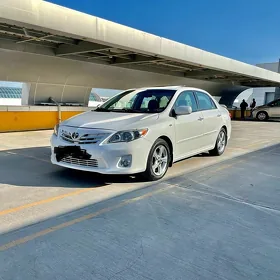 Toyota Corolla 2013