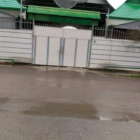 Багир-Bagyr от хозяина