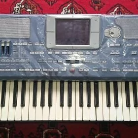 KORG PA 800