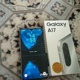 A 17
