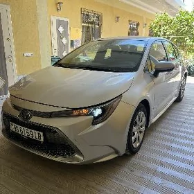 Toyota Corolla 2021