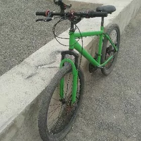 turkmenistan tigir