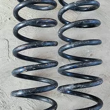 puržin