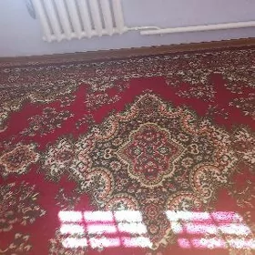 халы ве дорожка