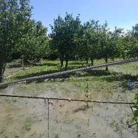 дача
