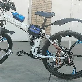 BMW tigir