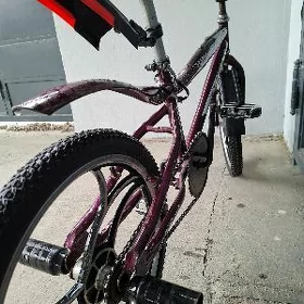 tigir duga