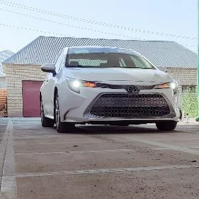 Toyota Corolla 2021