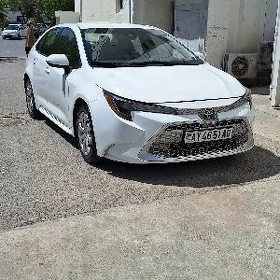 Toyota Corolla 2019