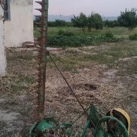 ot oryan yorunja kasilka