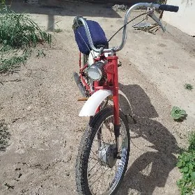 velo mator yureb dur