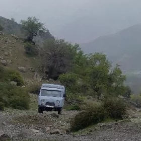 UAZ Profi 1993