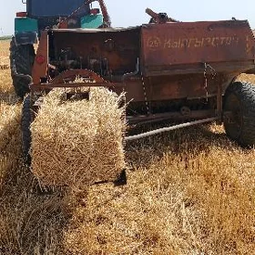 MTZ 80 1991